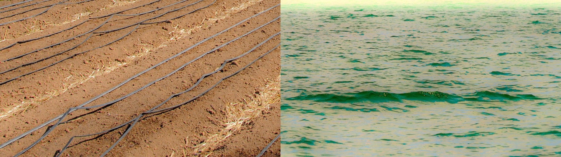 earth---water