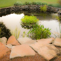 Huntsville-Botanical-Garden-05JUL31-6118-as-Smart-Object-1